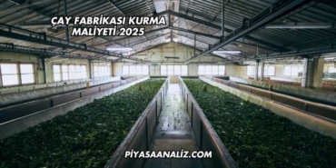 Çay Fabrikası Kurma Maliyeti 2025