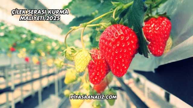 Çilek Serası Kurma Maliyeti 2025