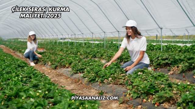 Çilek Serası Kurma Maliyeti 2025