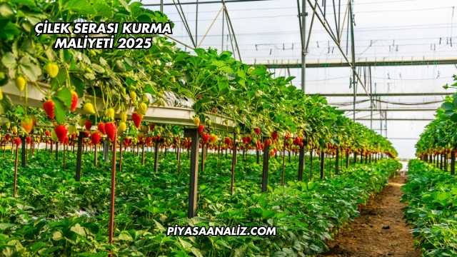 Çilek Serası Kurma Maliyeti 2025