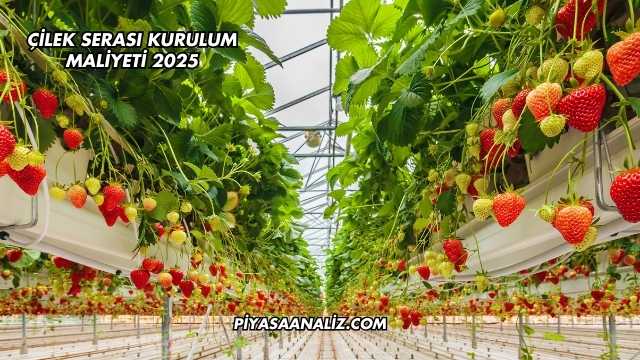Çilek Serası Kurulum Maliyeti 2025