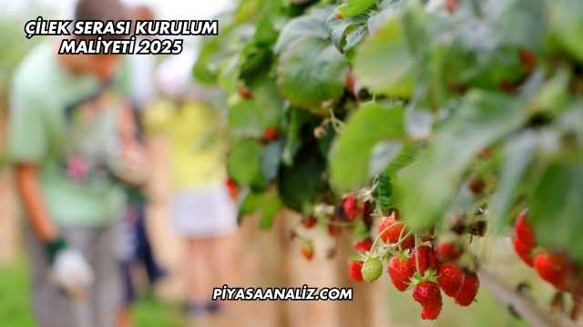 Çilek Serası Kurulum Maliyeti 2025