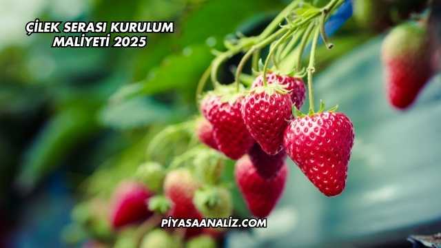 Çilek Serası Kurulum Maliyeti 2025