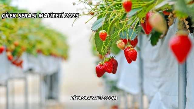 Çilek Serası Maliyeti 2025