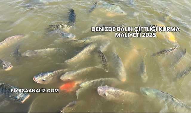 Denizde Balık Çiftliği Kurma Maliyeti 2025