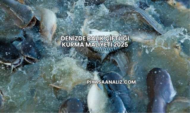 Denizde Balık Çiftliği Kurma Maliyeti 2025