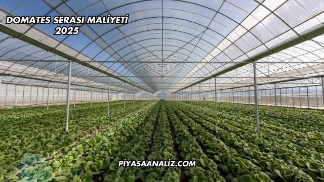 Domates Serası Maliyeti 2025