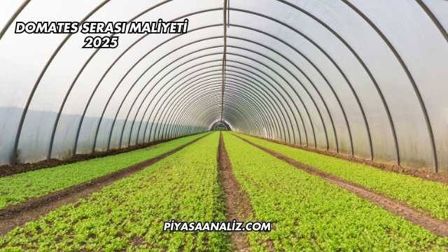 Domates Serası Maliyeti 2025
