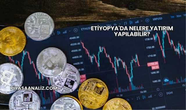 Etiyopya'da Nelere Yatırım Yapılabilir?