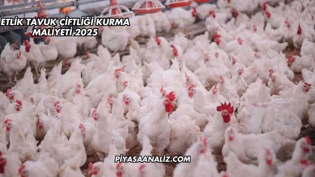 Etlik Tavuk Çiftliği Kurma Maliyeti 2025