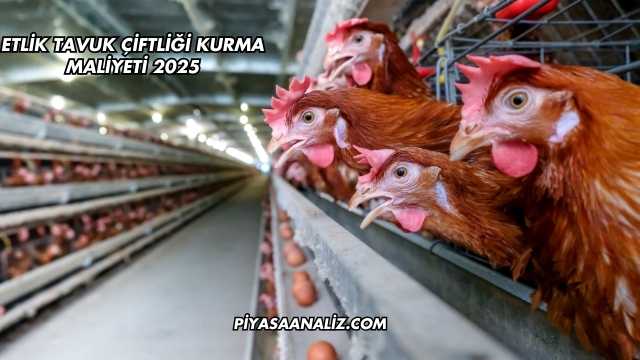 Etlik Tavuk Çiftliği Kurma Maliyeti 2025