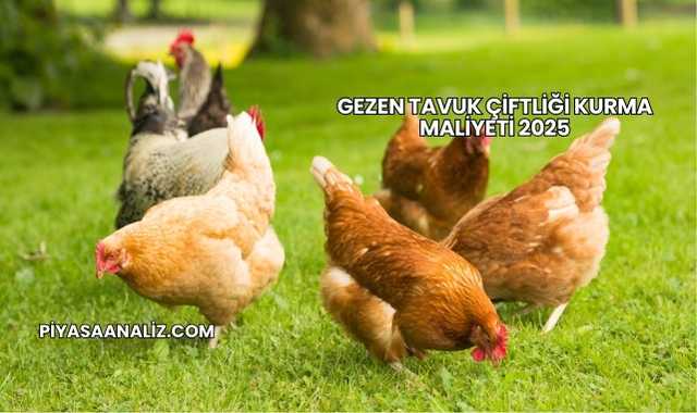 Gezen Tavuk Çiftliği Kurma Maliyeti 2025