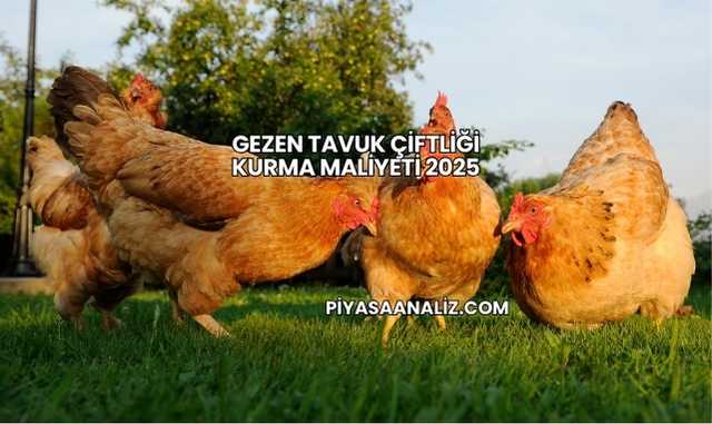 Gezen Tavuk Çiftliği Kurma Maliyeti 2025