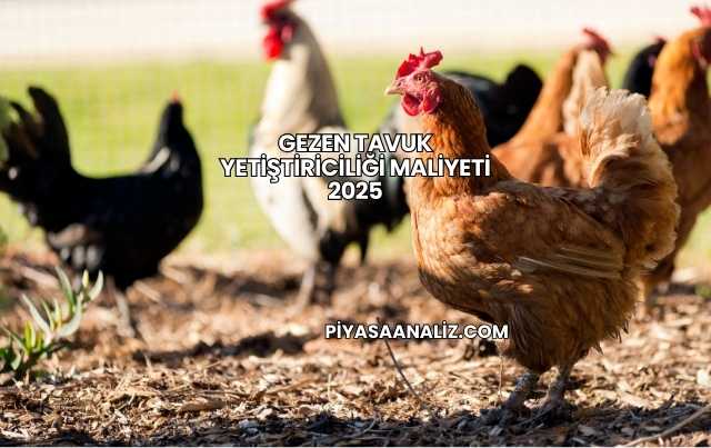 Gezen Tavuk Yetiştiriciliği Maliyeti 2025