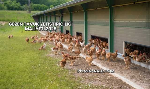 Gezen Tavuk Yetiştiriciliği Maliyeti 2025