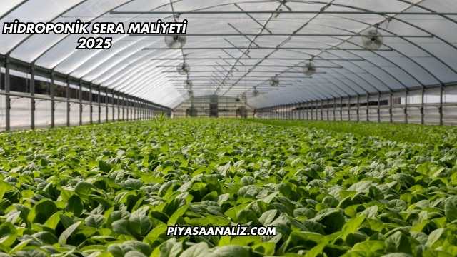Hidroponik Sera Maliyeti 2025