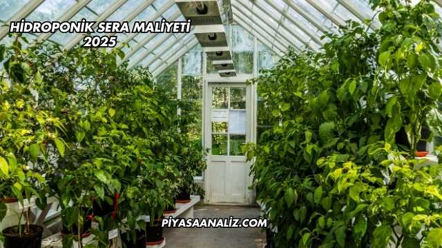 Hidroponik Sera Maliyeti 2025