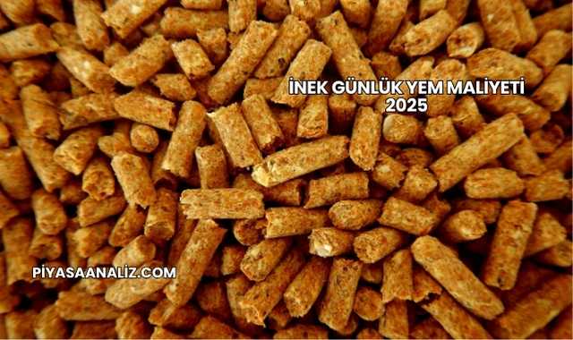 İnek Günlük Yem Maliyeti 2025