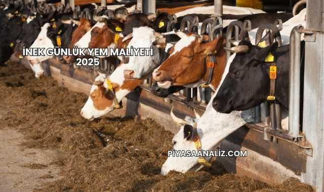 İnek Günlük Yem Maliyeti 2025