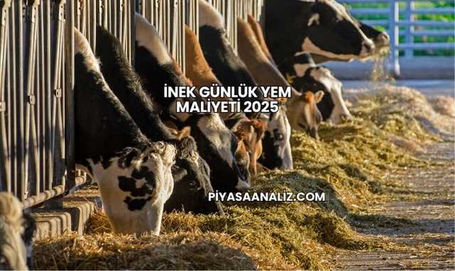 İnek Günlük Yem Maliyeti 2025