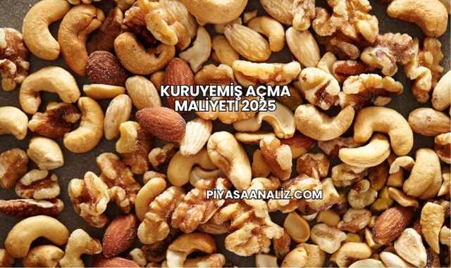 Kuruyemiş Açma Maliyeti 2025