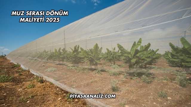 Muz Serası Dönüm Maliyeti 2025