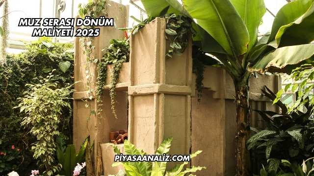 Muz Serası Dönüm Maliyeti 2025