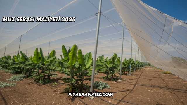 Muz Serası Maliyeti 2025