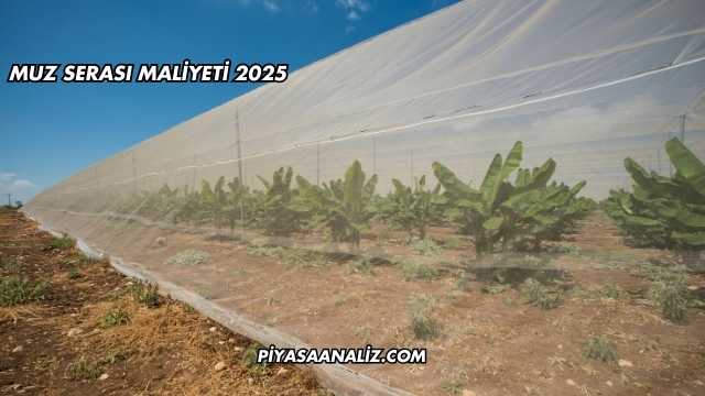 Muz Serası Maliyeti 2025