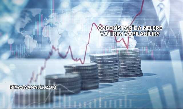 Özbekistan'da Nelere Yatırım Yapılabilir?