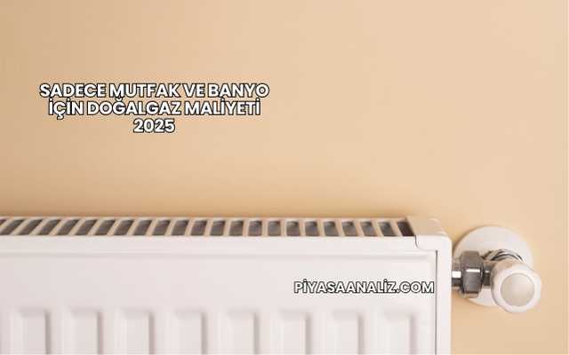 Sadece Mutfak ve Banyo İçin Doğalgaz Maliyeti 2025