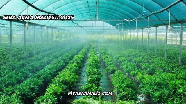 Sera Açma Maliyeti 2025