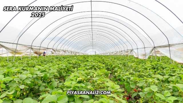 Sera Kurmanın Maliyeti 2025
