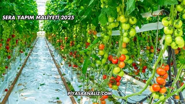 Sera Yapım Maliyeti 2025