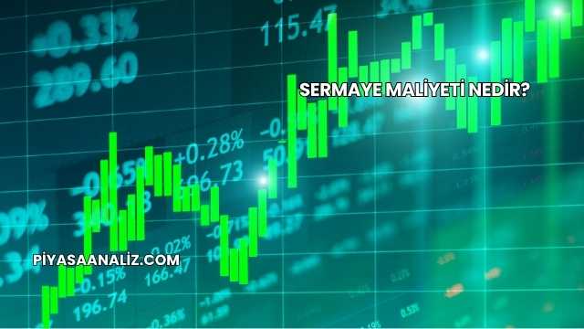 Sermaye Maliyeti Nedir?