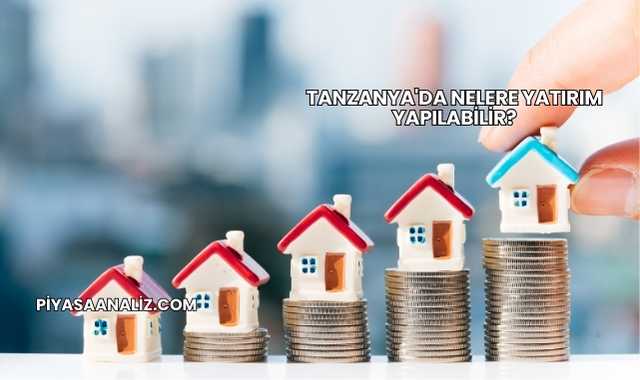 Tanzanya'da Nelere Yatırım Yapılabilir?