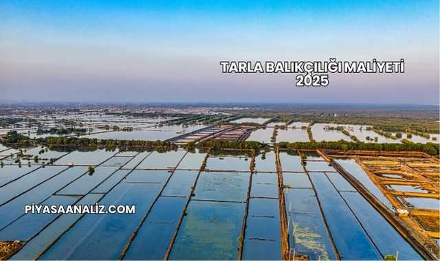 Tarla Balıkçılığı Maliyeti 2025