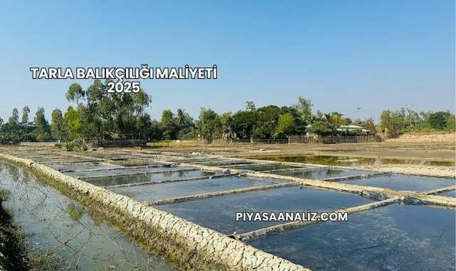 Tarla Balıkçılığı Maliyeti 2025