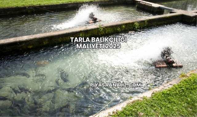 Tarla Balıkçılığı Maliyeti 2025