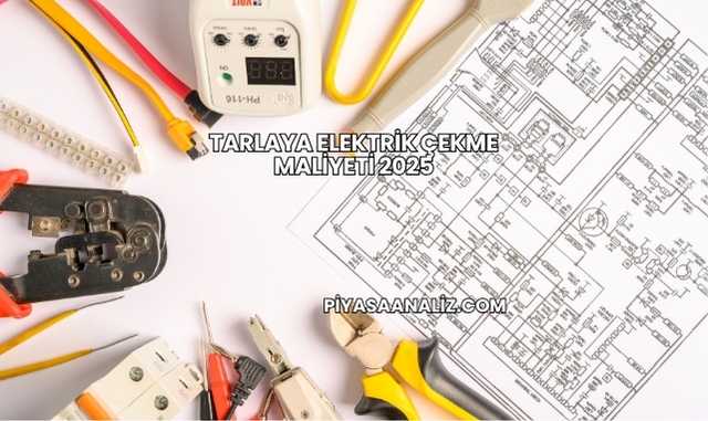 Tarlaya Elektrik Çekme Maliyeti 2025