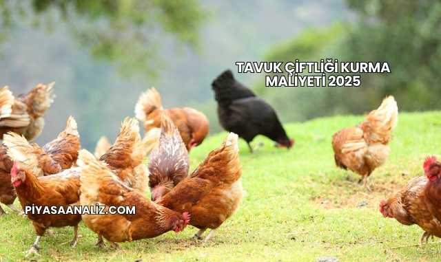 Tavuk Çiftliği Kurma Maliyeti 2025