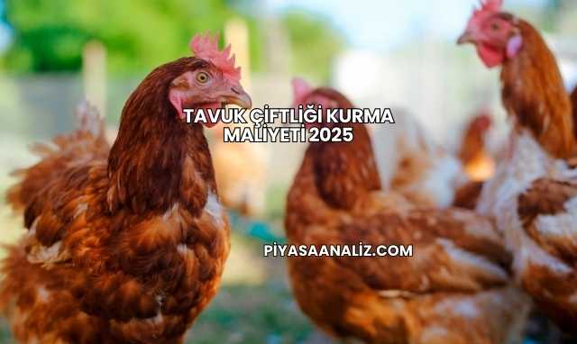 Tavuk Çiftliği Kurma Maliyeti 2025