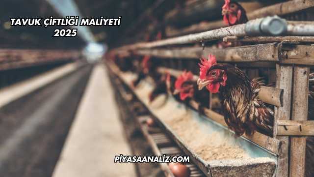 Tavuk Çiftliği Maliyeti 2025