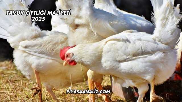 Tavuk Çiftliği Maliyeti 2025