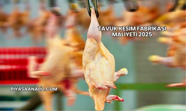 Tavuk Kesim Fabrikası Maliyeti 2025