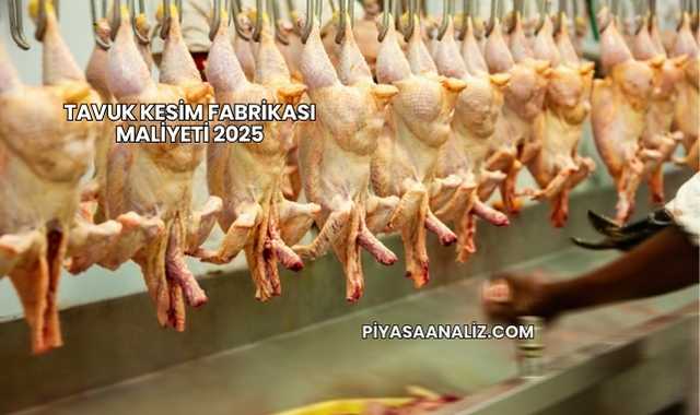 Tavuk Kesim Fabrikası Maliyeti 2025
