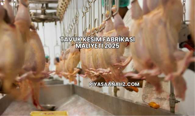 Tavuk Kesim Fabrikası Maliyeti 2025