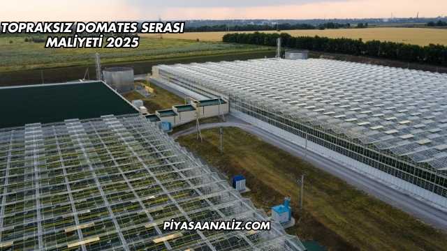 Topraksız Domates Serası Maliyeti 2025