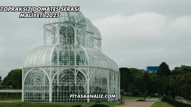 Topraksız Domates Serası Maliyeti 2025