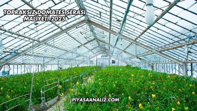 Topraksız Domates Serası Maliyeti 2025